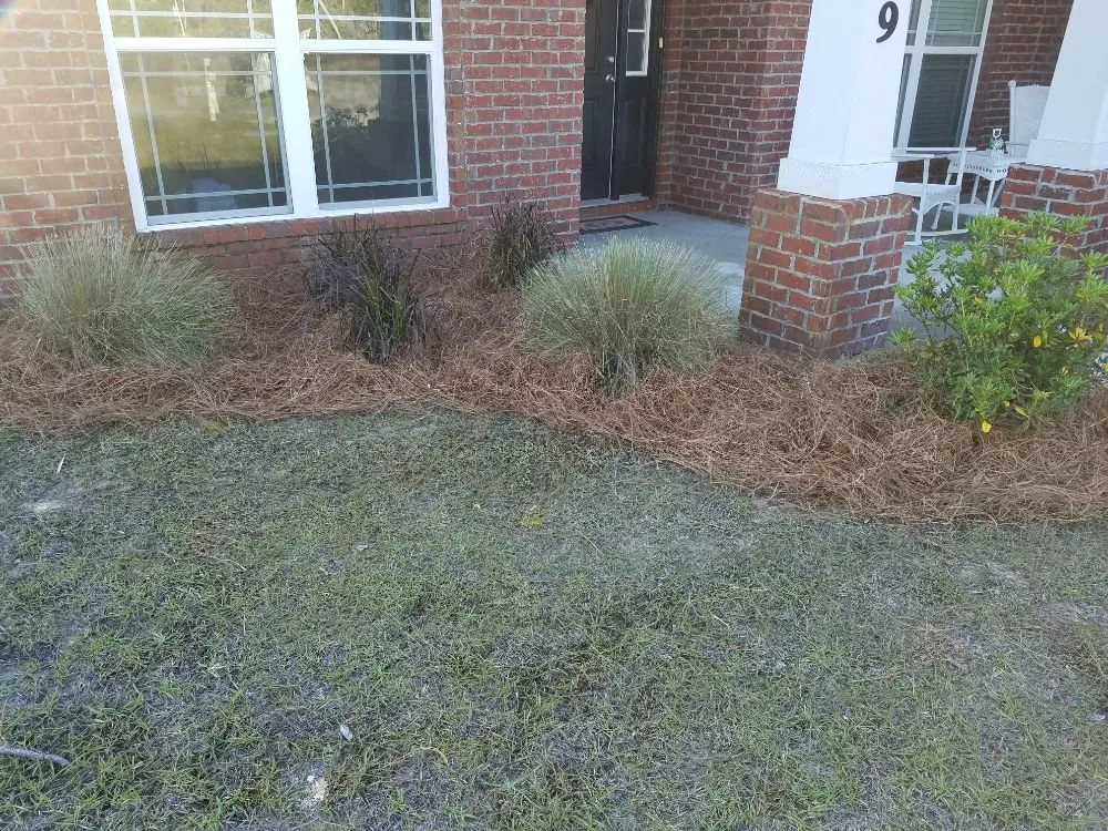 Expert yard maintenance for outdoor upgrades across Navarre, FL - Emerald Coast Lawn Pros