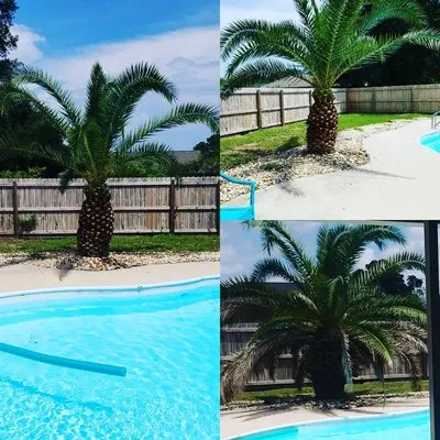 Emerald Coast Lawn Pros Logo