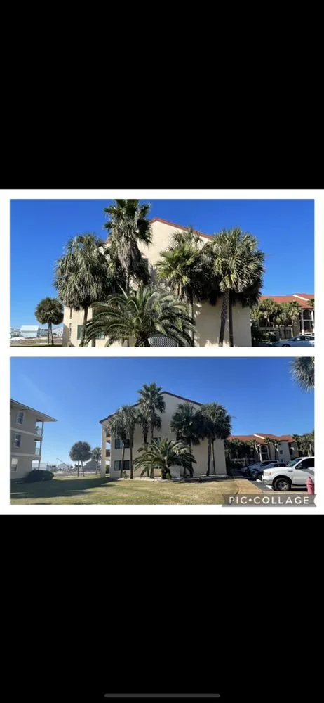 Professional landscaping services in Navarre, FL by Emerald Coast Super Scapers