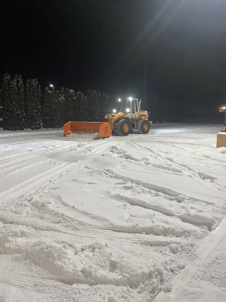 Expert yard maintenance for homes across Waite Park, MN - Emerald Companies