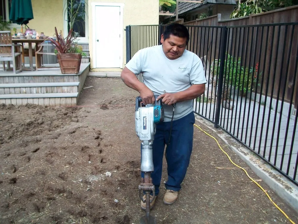 Local lawn care service in Long Beach, CA by Emerald Crest Landscaping
