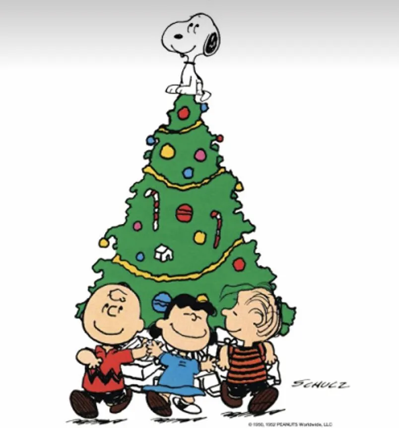 Affordable yard maintenance near you across Long Beach, CA - Emerald Crest Landscaping