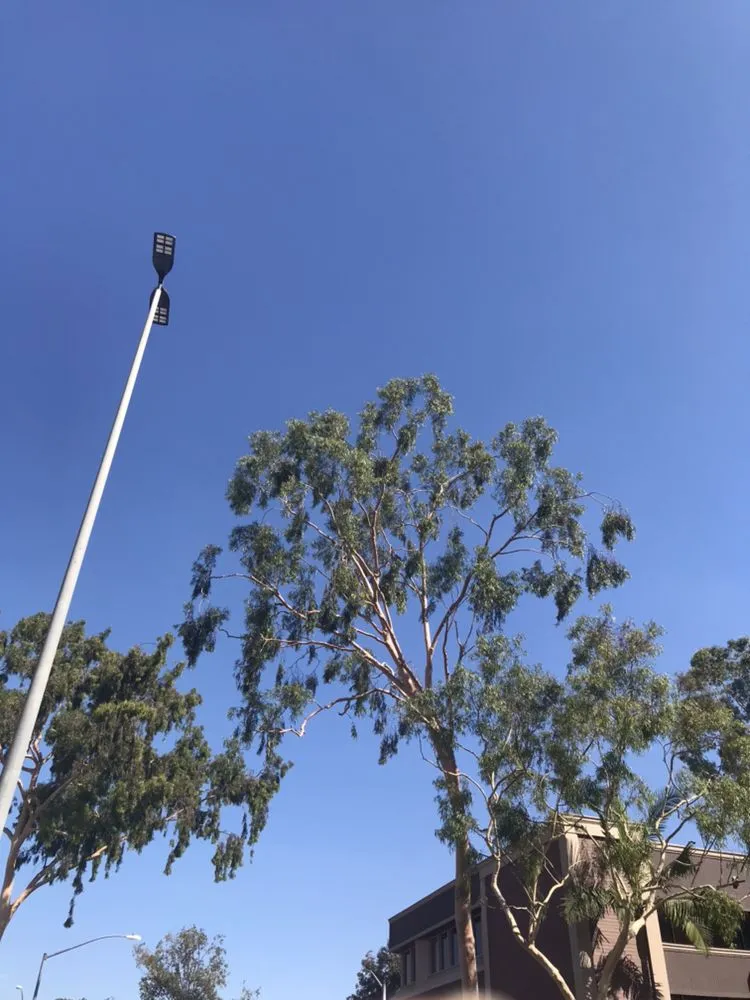 Professional landscape design experts serving Long Beach, CA - Emerald Crest Landscaping