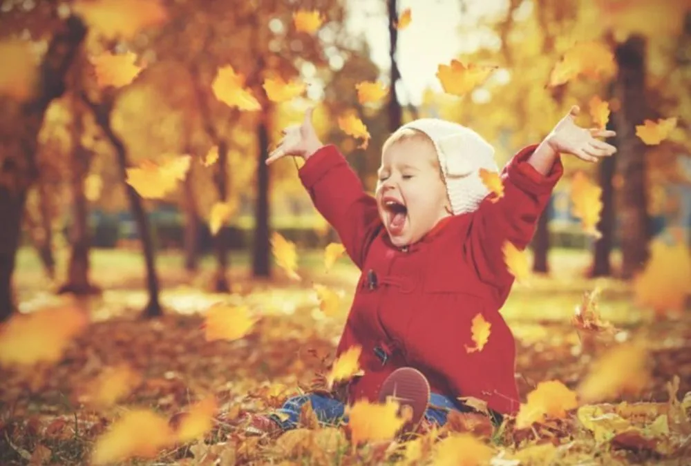 Trusted lawn mowing service in Cedar Hill, TX by Emerald Cut Lawn & Landscape