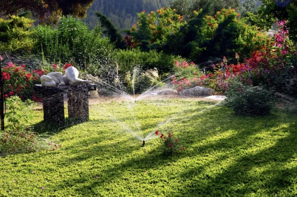 Reliable yard cleanup service in Cedar Hill, TX - Emerald Cut Lawn & Landscape