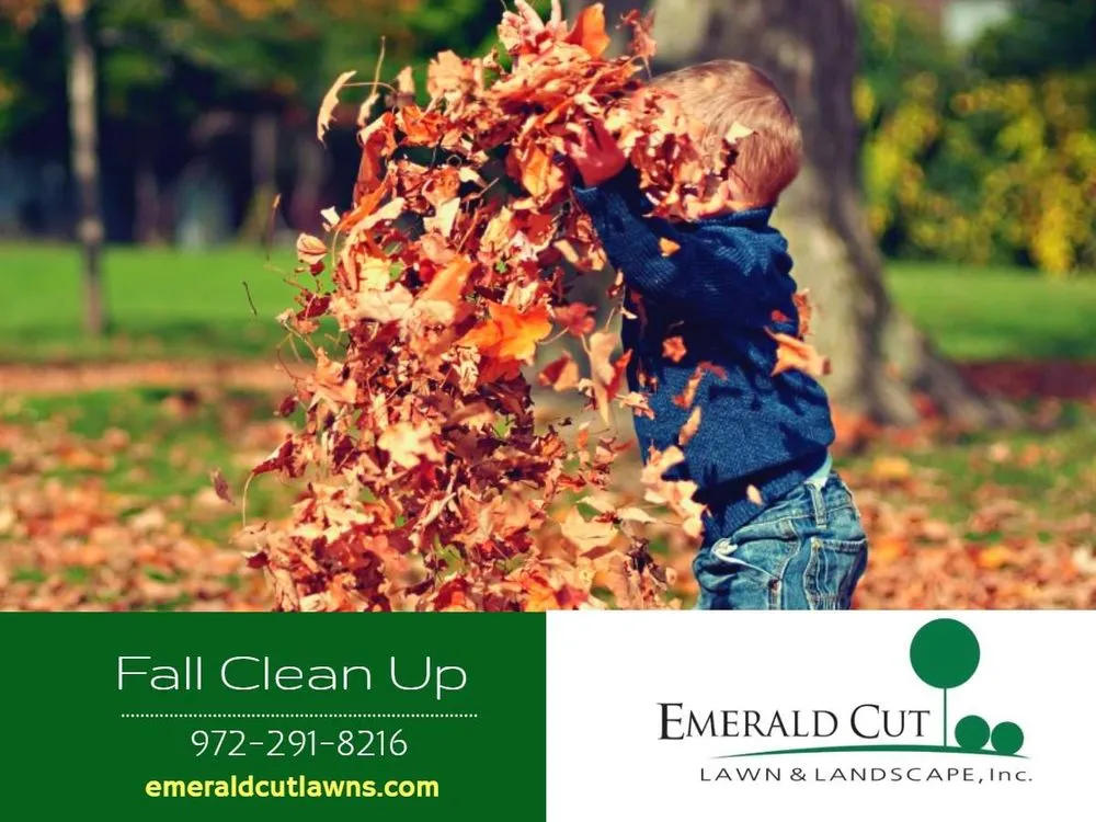 Affordable residential landscaping in Cedar Hill, TX - Emerald Cut Lawn & Landscape