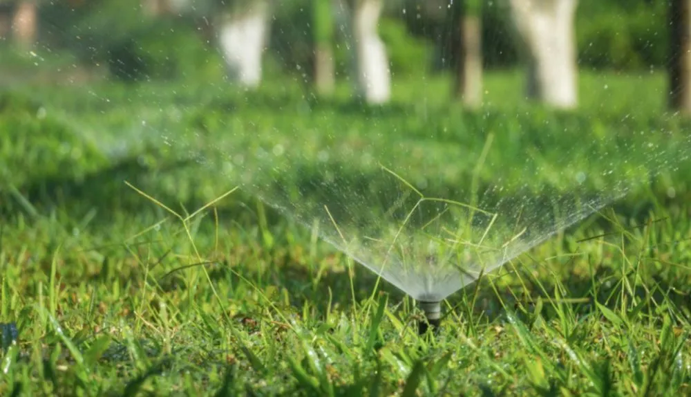 Professional lawn mowing service for outdoor upgrades in Cedar Hill, TX by Emerald Cut Lawn & Landscape