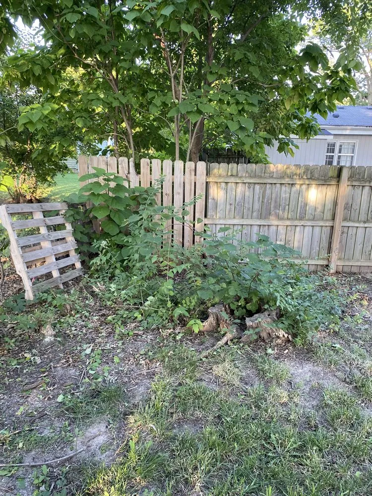 Affordable lawn care service experts serving Boonville, MO - Emerald Edge