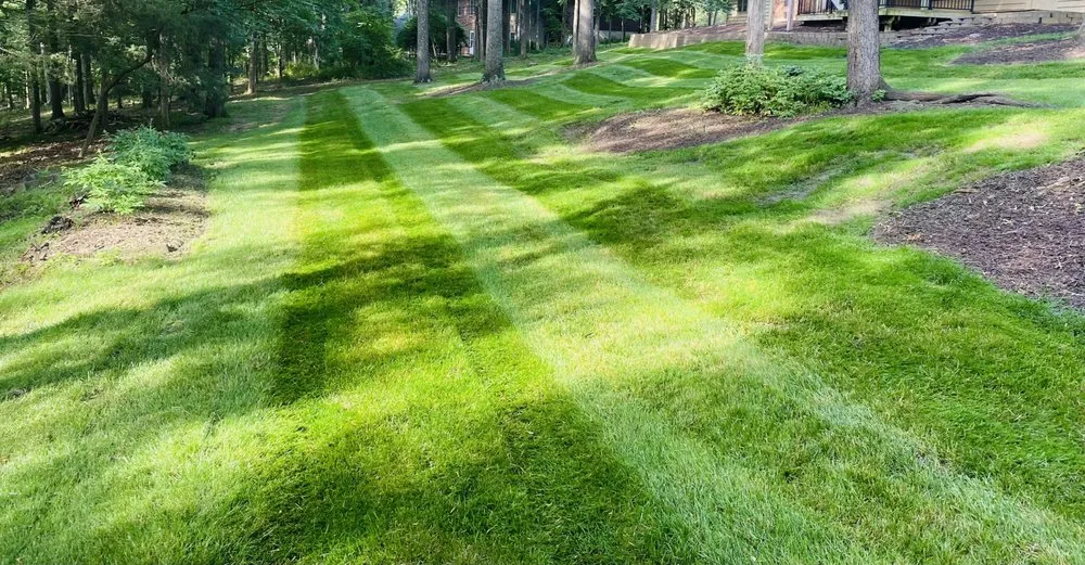 Local landscape design in Boonville, MO - Emerald Edge