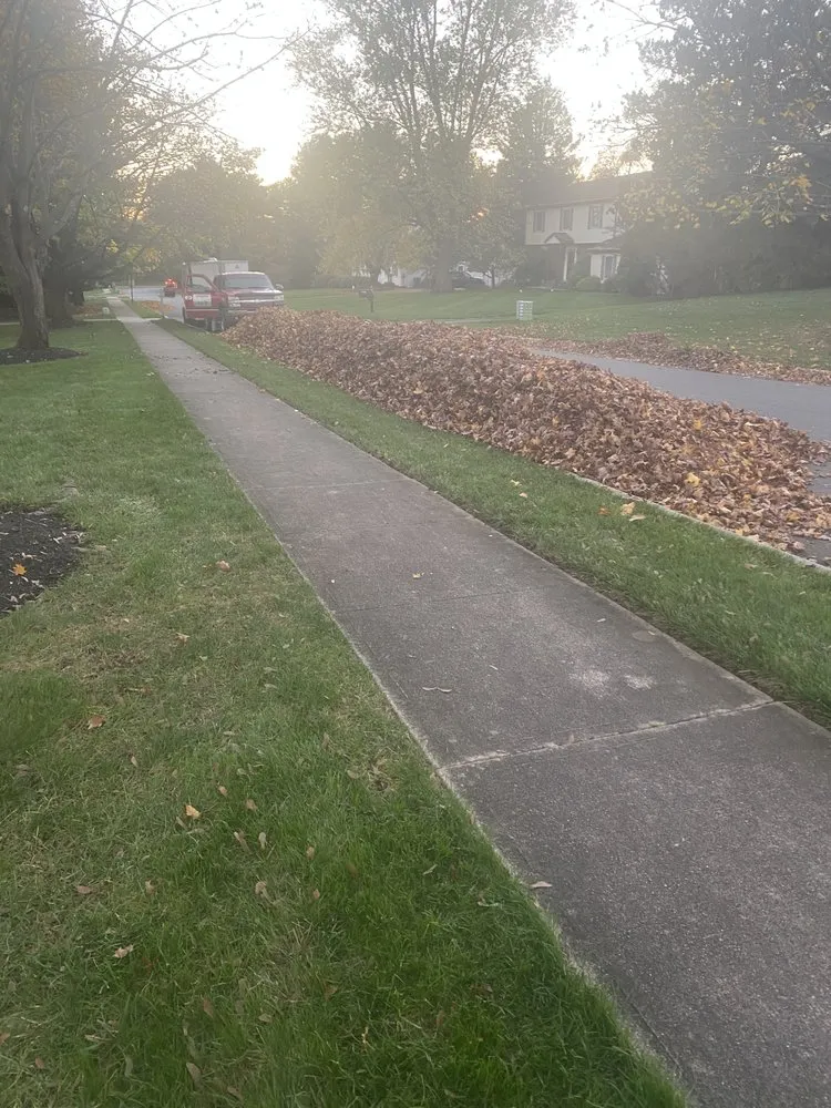 Affordable lawn care service experts serving Perth Amboy, NJ - Emerald Forest Lawn & Lanscape