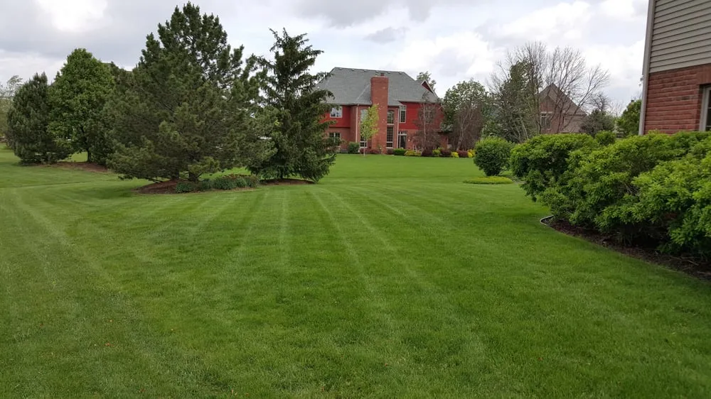 Professional yard cleanup service in Tinley Park, IL by Emerald Fresh Living