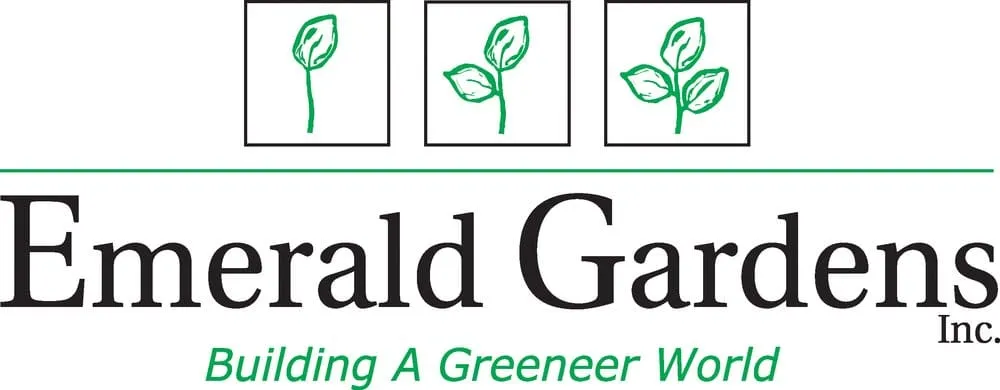 Professional yard cleanup service experts serving St Amant, LA - Emerald Gardens