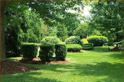 Expert landscape installation for beautiful yards in Lucas, TX by Emerald GrassScapes & Maintenance