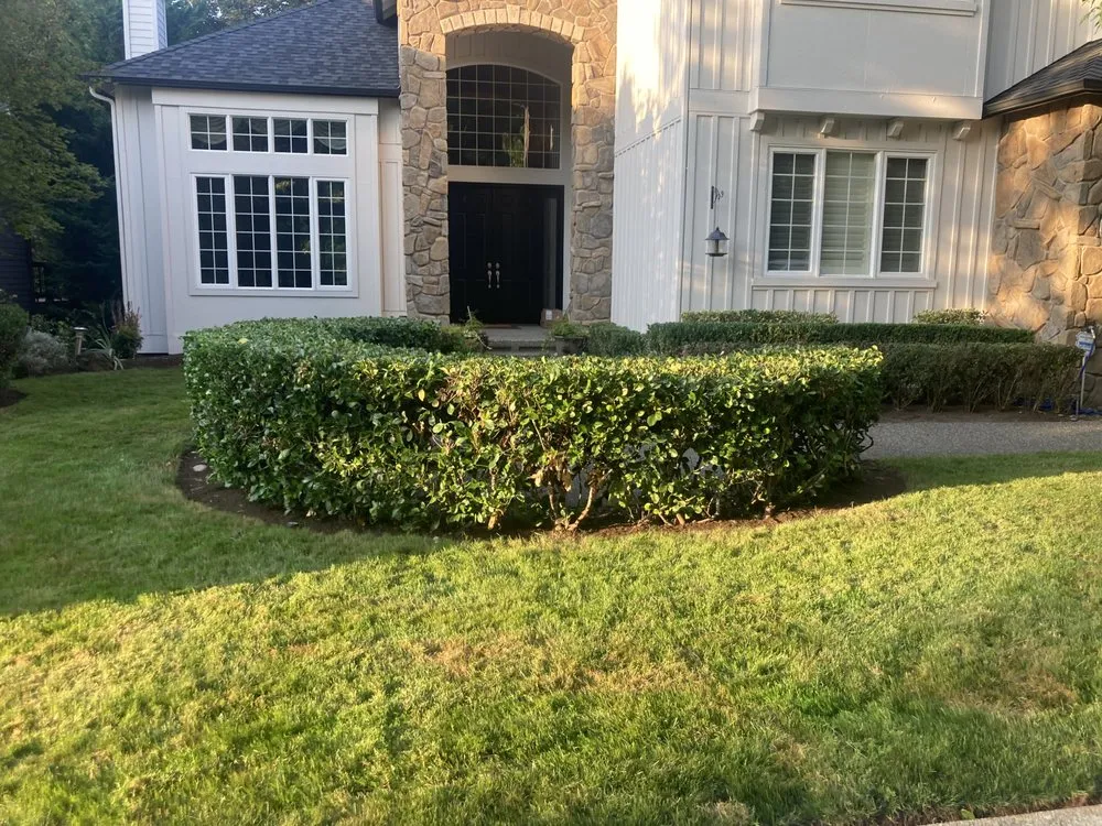 Trusted residential landscaping for year-round maintenance across Issaquah, WA - Emerald Green Grounds Maintenance