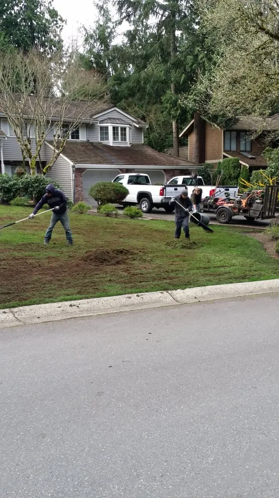 Expert yard maintenance for residential properties in Issaquah, WA by Emerald Green Grounds Maintenance