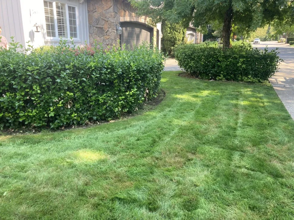 Affordable landscape design in Issaquah, WA - Emerald Green Grounds Maintenance