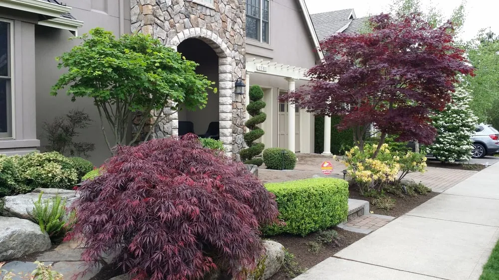 Trusted yard maintenance in Issaquah, WA - Emerald Green Grounds Maintenance