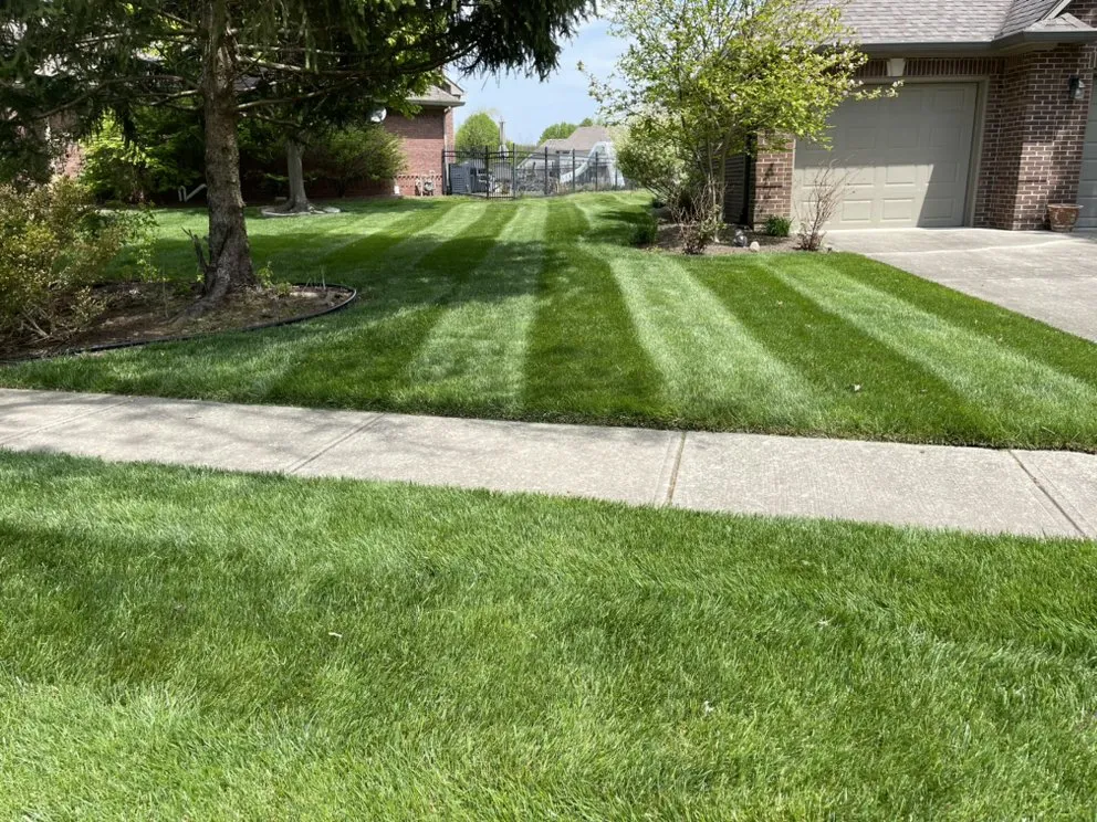 Affordable lawn care service in Greenwood, IN by Emerald Green Lawn Care