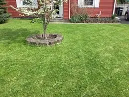 Trusted landscaping services for outdoor upgrades across Rensselaer, NY - Emerald Green Lawns and Landscaping