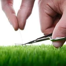 Emerald Green Lawns and Landscaping