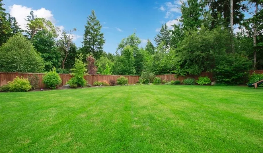 Affordable landscape installation for beautiful yards across Columbia, SC - Emerald Green Lawn's Care