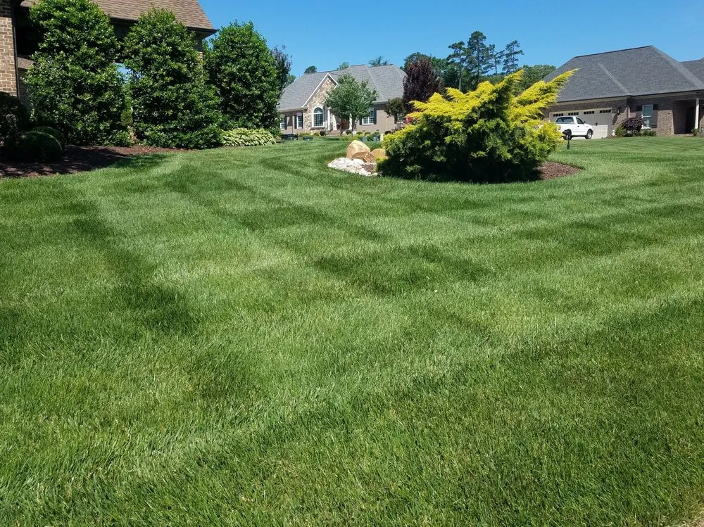 Reliable yard maintenance in Whitsett, NC by Emerald Green