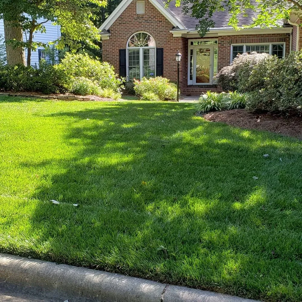 Local yard maintenance experts serving Whitsett, NC - Emerald Green