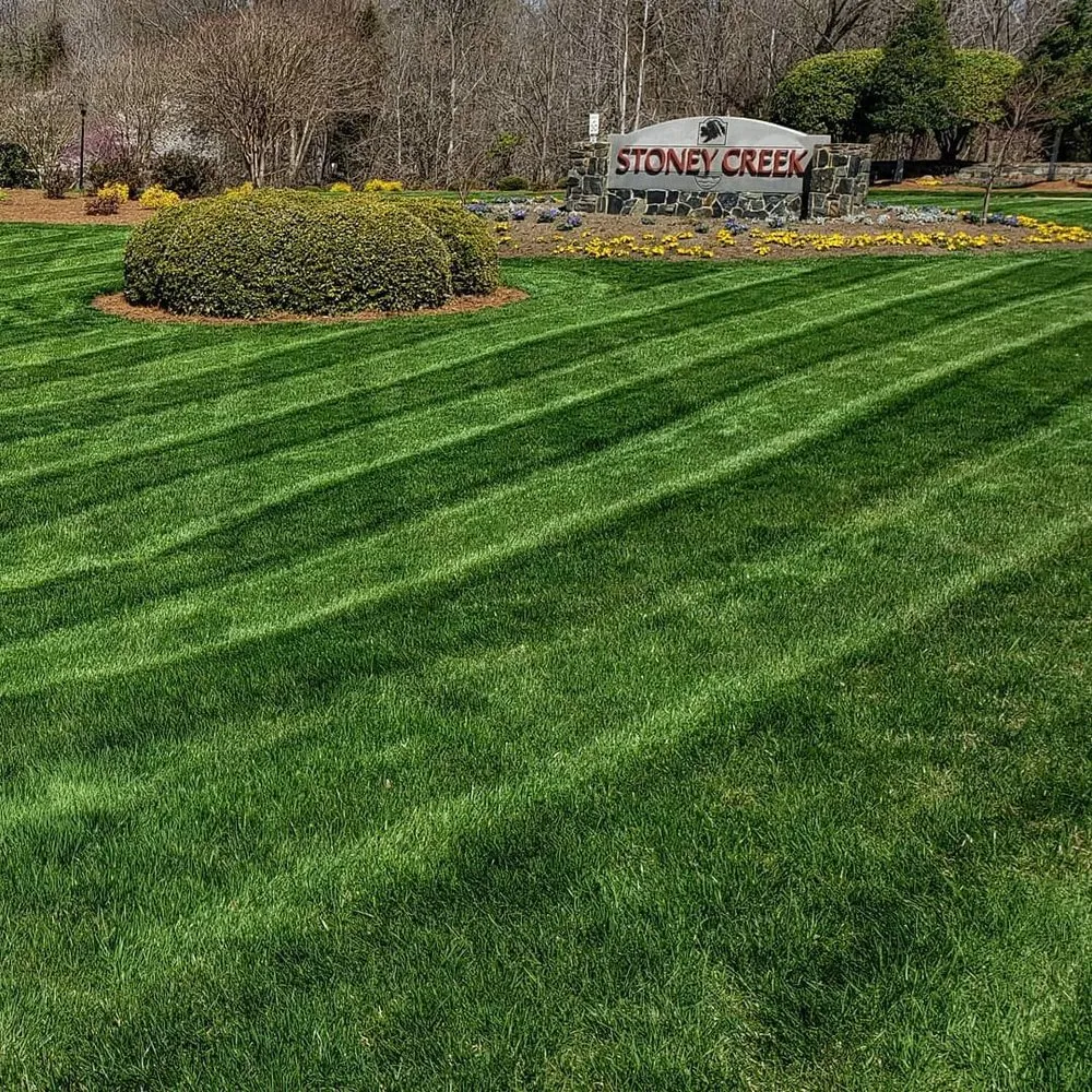 Custom landscape design in Whitsett, NC - Emerald Green