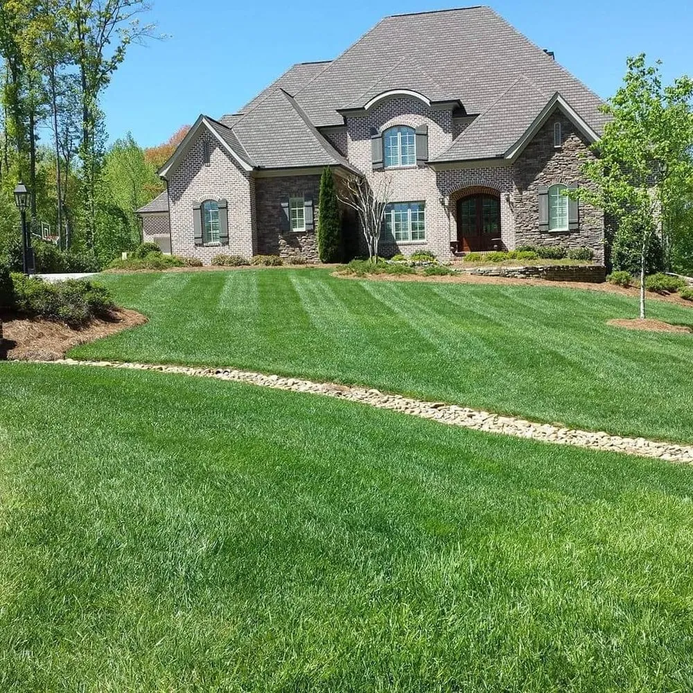 Custom yard cleanup service for outdoor upgrades across Whitsett, NC - Emerald Green