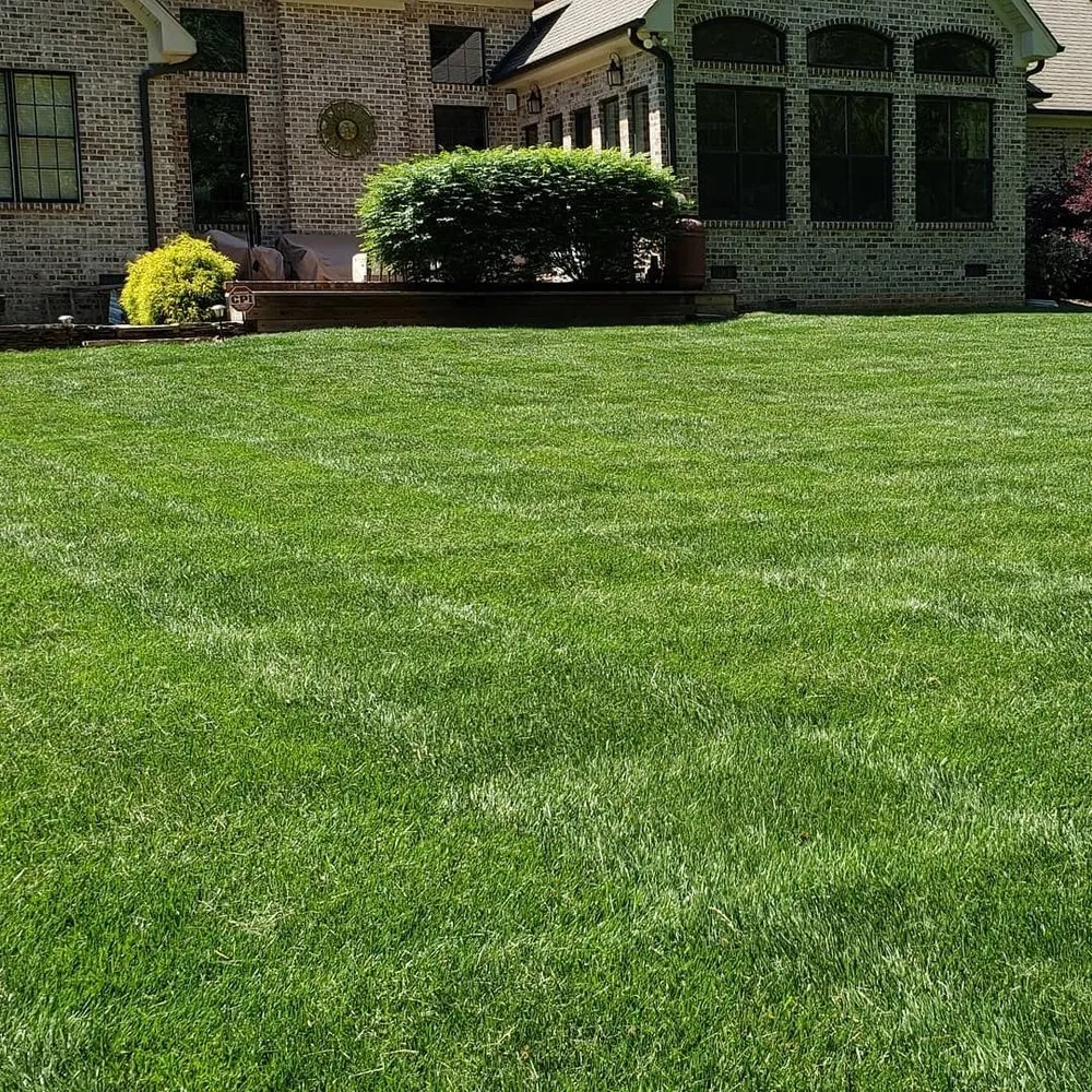 Expert garden landscaping in Whitsett, NC - Emerald Green