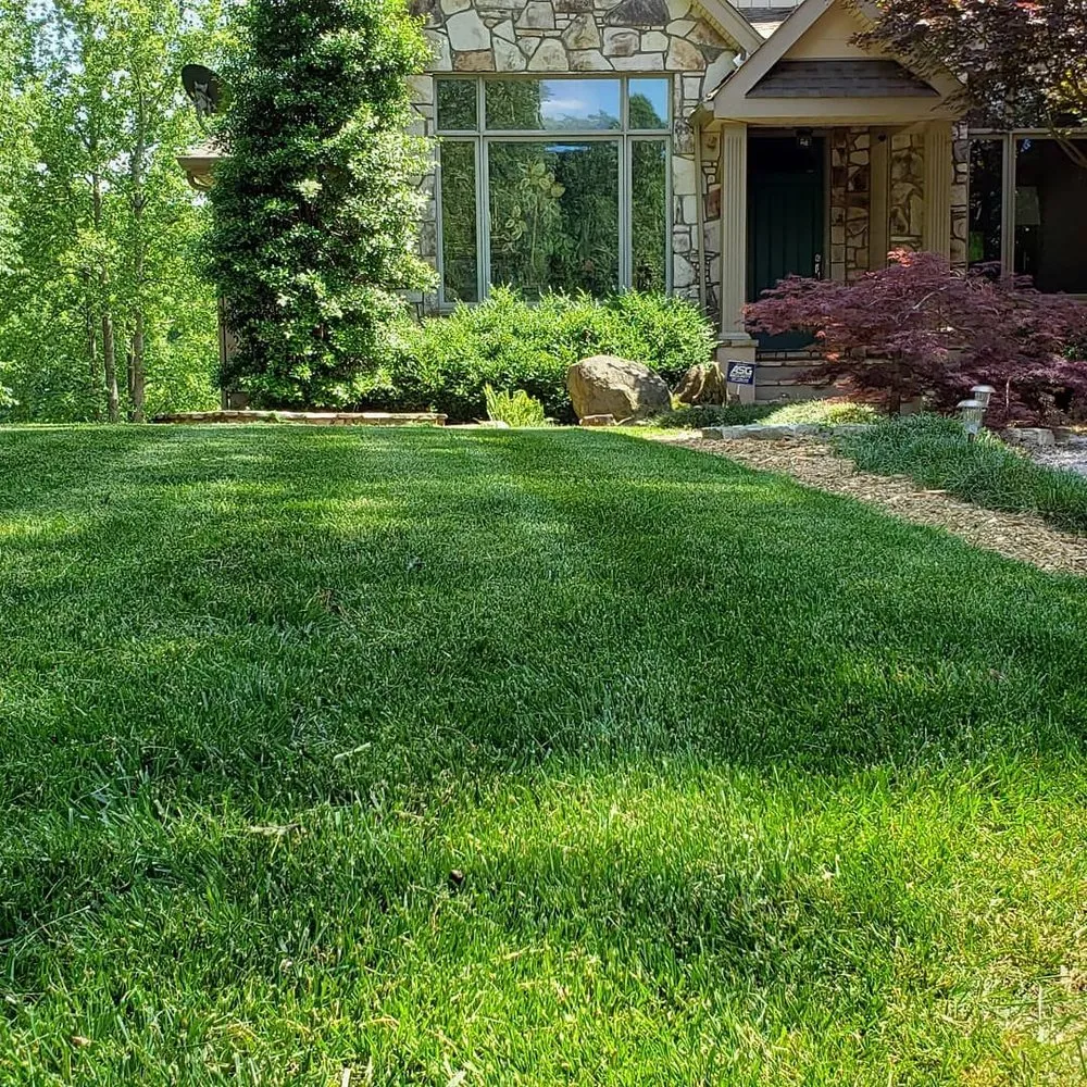 Local outdoor landscaping for year-round maintenance in Whitsett, NC by Emerald Green