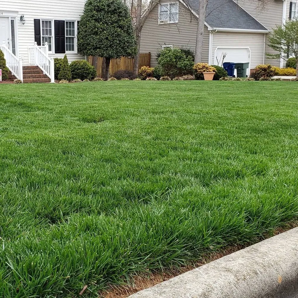 Affordable lawn care service for year-round maintenance in Whitsett, NC by Emerald Green