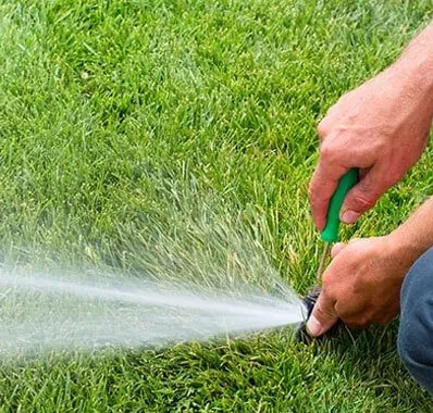 Professional outdoor landscaping for beautiful yards in Cave Creek, AZ by Emerald Irrigation