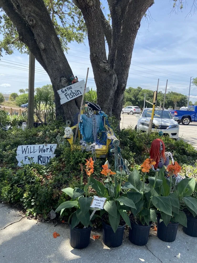 Affordable lawn care service for outdoor upgrades in Cocoa, FL by Emerald Island Garden Center