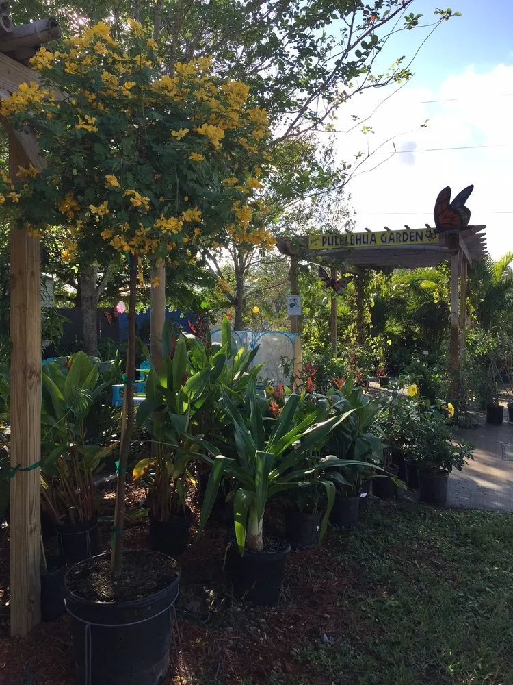Professional yard maintenance experts serving Cocoa, FL - Emerald Island Garden Center