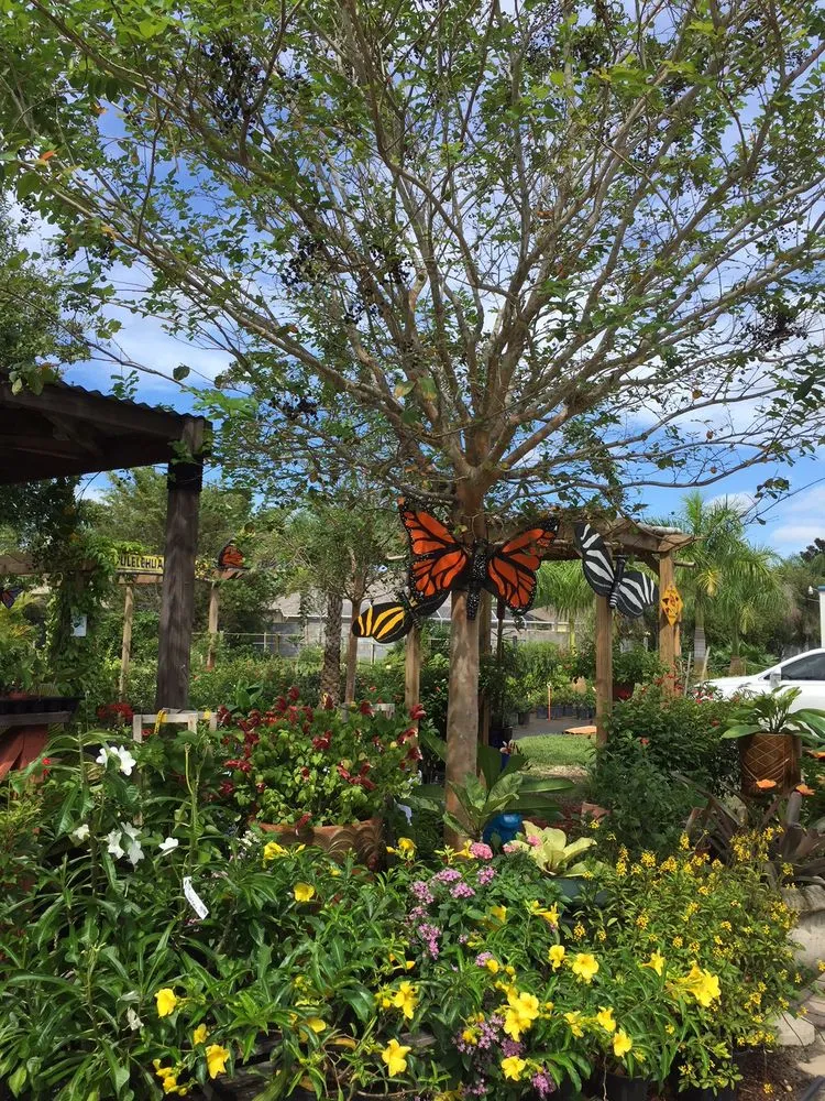 Reliable landscaping services experts serving Cocoa, FL - Emerald Island Garden Center