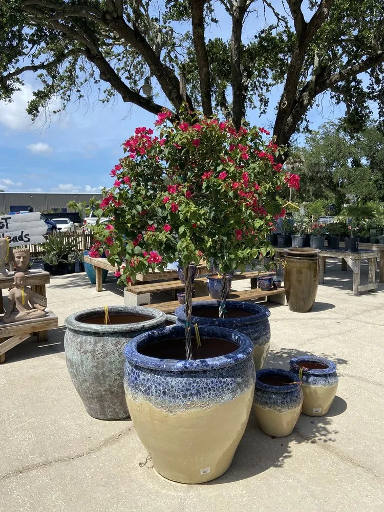 Custom landscape installation near you in Cocoa, FL by Emerald Island Garden Center