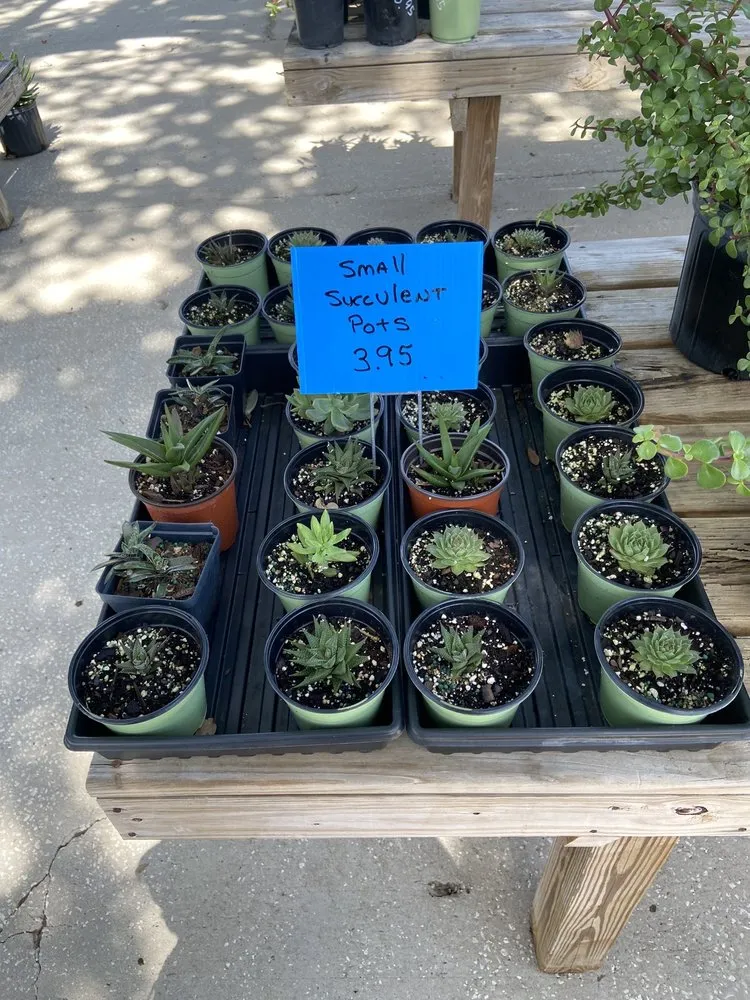 Custom garden landscaping near you across Cocoa, FL - Emerald Island Garden Center