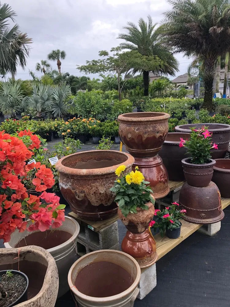 Expert landscape installation in Cocoa, FL - Emerald Island Garden Center