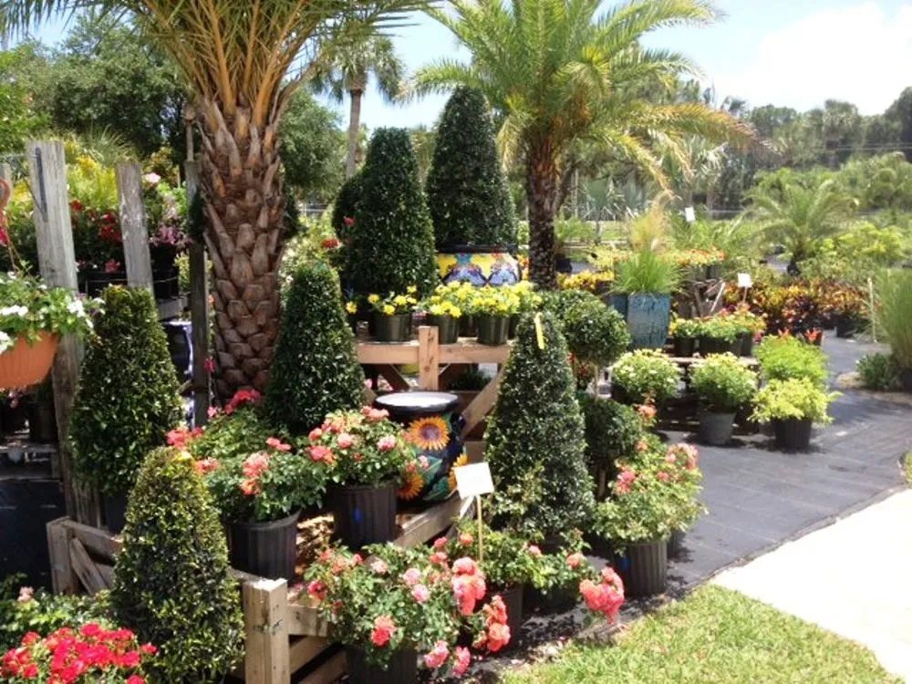 Top-rated lawn mowing service in Cocoa, FL - Emerald Island Garden Center