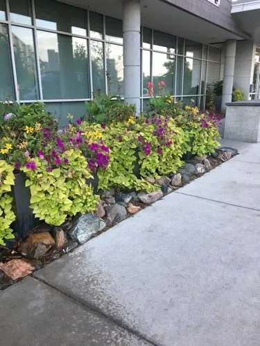 Local outdoor landscaping for beautiful yards in Palmer Lake, CO by Emerald Isle Landscaping - A Tendit Group Company