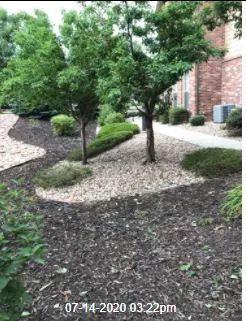Local yard cleanup service in Palmer Lake, CO - Emerald Isle Landscaping - A Tendit Group Company