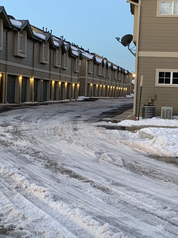 Professional yard cleanup service for beautiful yards in Palmer Lake, CO by Emerald Isle Landscaping - A Tendit Group Company