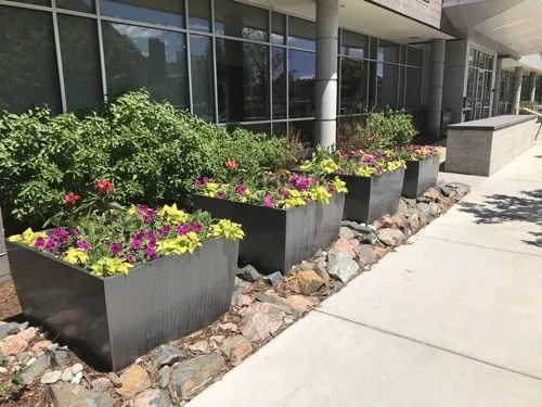Trusted garden landscaping in Palmer Lake, CO by Emerald Isle Landscaping - A Tendit Group Company