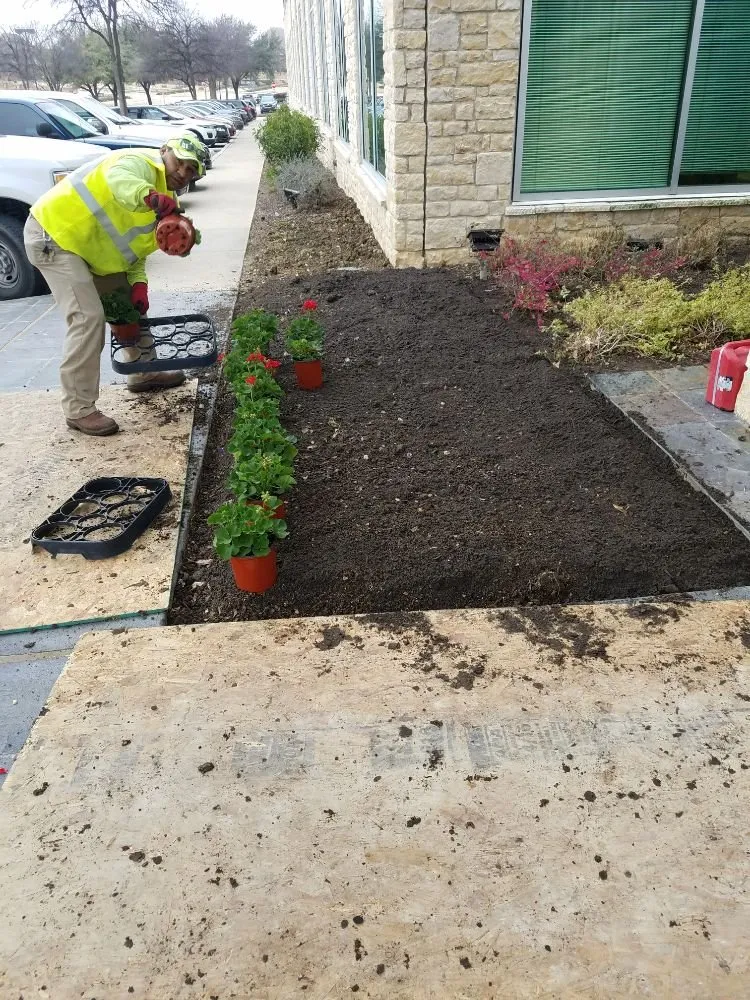 Local residential landscaping in Garland, TX by Emerald Lake Landscaping