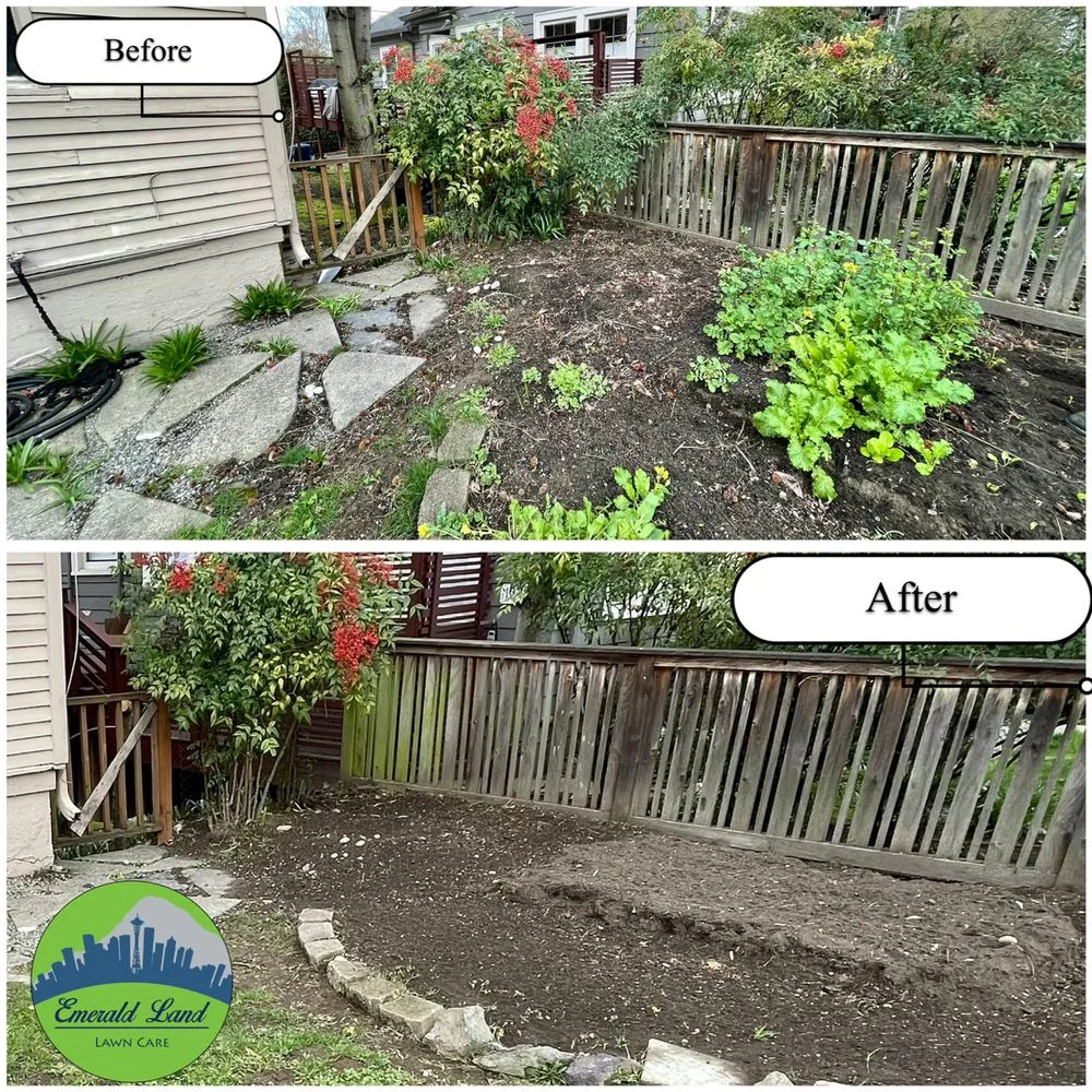 Expert yard maintenance in Federal Way, WA by Emerald Land LawnCare