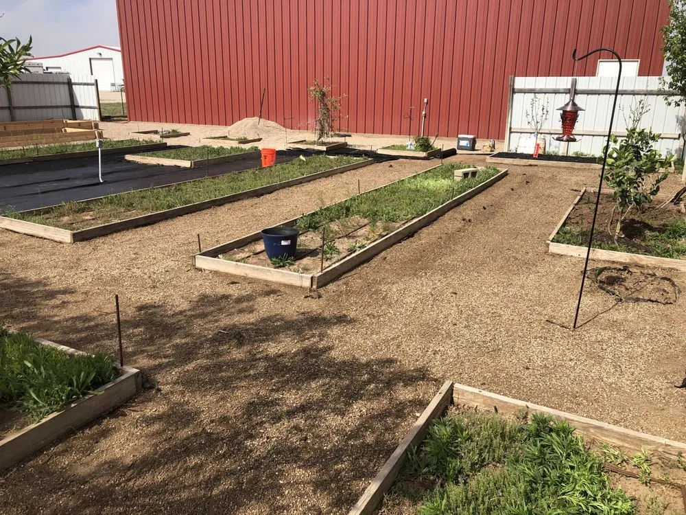 Top-rated landscape design in Lubbock, TX - Emerald Landscape Solutions