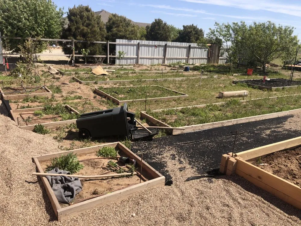 Affordable yard cleanup service in Lubbock, TX by Emerald Landscape Solutions