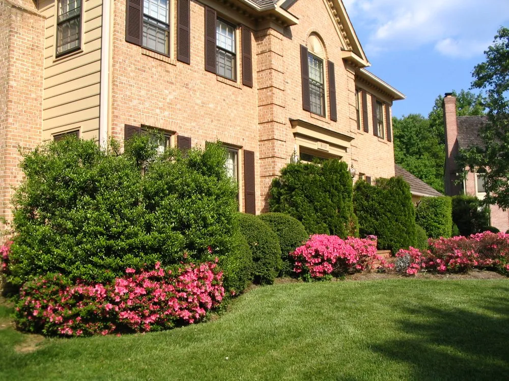Custom yard cleanup service in Gaithersburg, MD by Emerald Landscaping