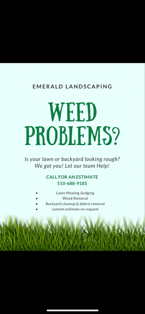 Affordable landscape installation experts serving Merced, CA - Emerald Landscaping
